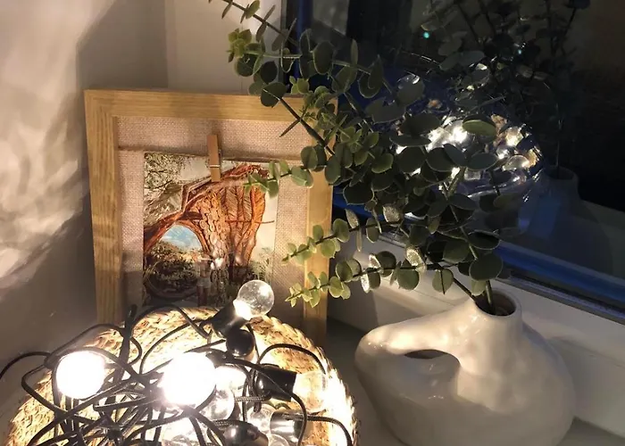 The Boho Vandor Tatil Evi